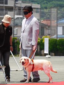 写真:アイメイト(盲導犬)体験
