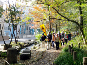 写真:秋のウォーキング大会