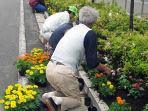 写真:花を植える様子(秋)