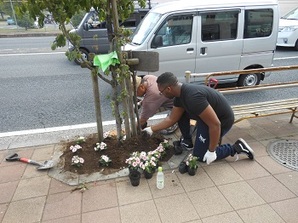 写真:国道16号での植栽の様子(平成27年5月18日)