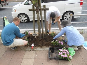 写真:国道16号での植栽の様子(平成27年5月18日)