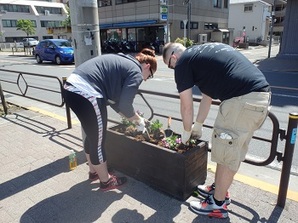 写真:やなぎ通りでの植栽の様子(平成27年5月13日)