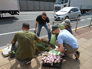 写真:植栽の様子