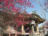 写真：神明社