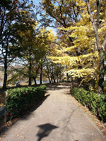 写真：柳山公園