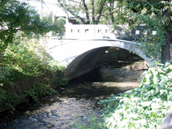 写真：日光橋