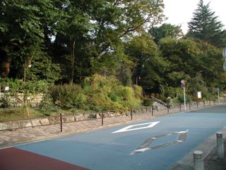 写真:せせらぎ遊歩道公園