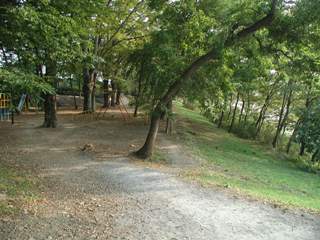 写真:福生柳山公園