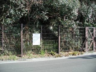 写真:縞屋の滝