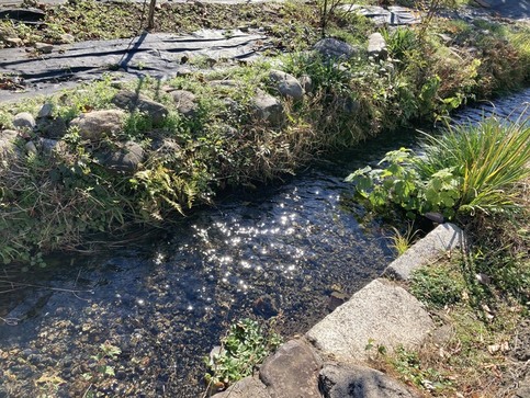 熊川分水の画像