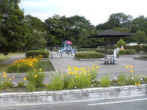 写真:多摩川緑地福生南公園2