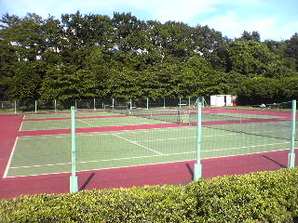 写真:多摩川緑地福生南公園3