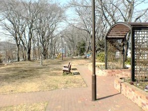 写真:多摩川緑地福生柳山公園1