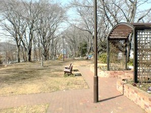 写真：多摩川緑地福生柳山公園1