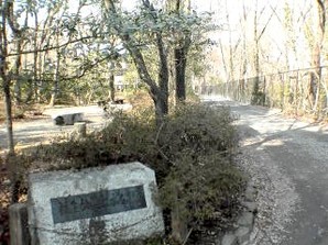 写真：多摩川緑地福生加美上水公園真1