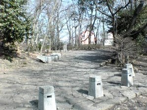 写真：多摩川緑地福生加美上水公園2