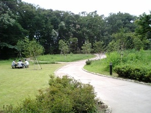 写真:原ヶ谷戸どんぐり公園2