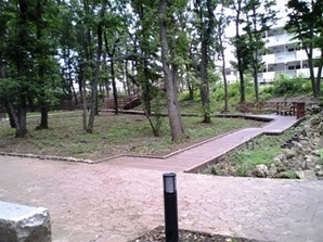 写真:原ヶ谷戸どんぐり公園4