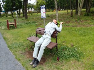 写真:背伸ばしベンチ