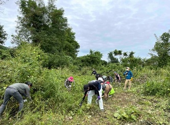 6月に続き大きく繁茂した植物を除去する画像