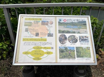 カワラノギクプロジェクトのPR看板の画像