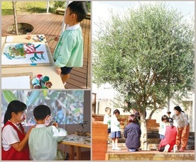 「オリーブの木」と子どもたちの探求