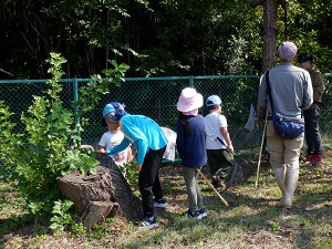 バッタをゲット