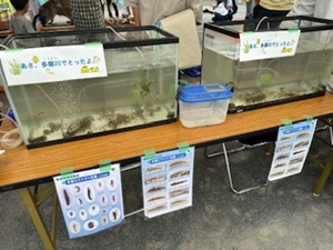 イメージ図