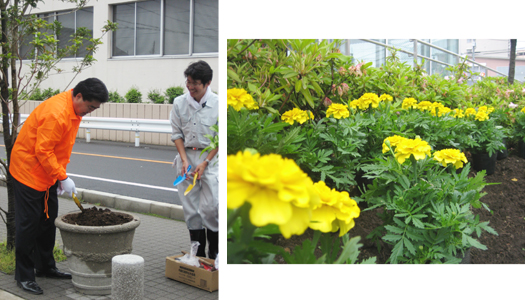 写真：花いっぱい運動（市役所前）