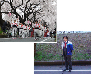 写真:ふっさ桜まつり開花式