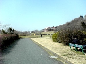 写真：多摩川緑地福生かに坂公園3