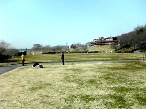 写真：多摩川緑地福生かに坂公園4