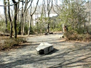 写真：多摩川緑地福生加美上水公園3