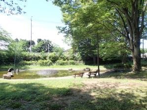 写真：中福生公園3