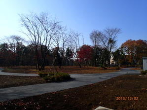 写真：福東トモダチ公園1