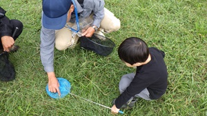 写真：「バッタをゲット」の様子