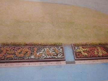写真：福生市立福生第七小学校飼育・環境委員会の花壇