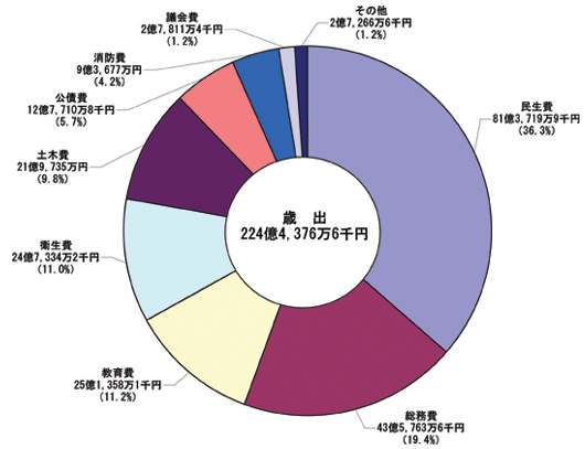 画像:平成19年度一般会計決算額及び構成比(歳出)円グラフ 民生費81億3,719万9千円(36.3%)総務費43億5,763万6千円(19.4%)教育費25億1,358万1千円(11.2%)衛生費24億7,334万2千円(11.0%)土木費21億9,735万円(9.8%)公債費12億7,710万8千円(5.7%)消防費9億3,677万円(4.2%)議会費2億7,811万4千円(1.2%)その他2億7,266万6千円(1.2%)