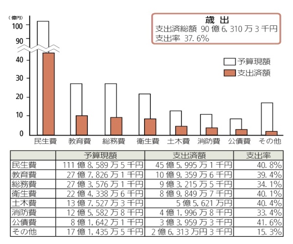 画像:一般会計予算の執行状況(歳出)