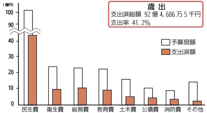 画像:一般会計予算の執行状況(歳出)