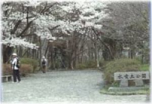 写真:みずくらいど公園