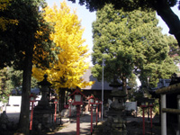 写真：熊川神社