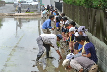 写真:田植えを教わる小学生たち