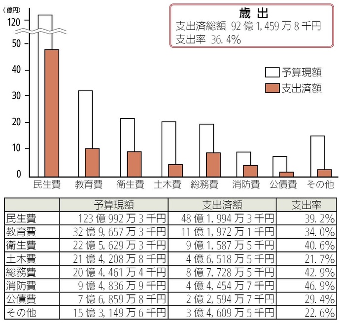 画像:一般会計予算の執行状況(歳出)