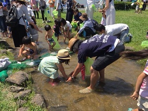 マスのつかみ取り