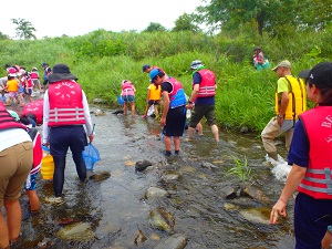 多摩川の魚をつかまえよう