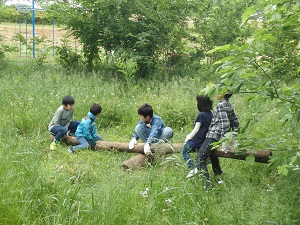 かくれんぼ広場水辺の秘密基地作り