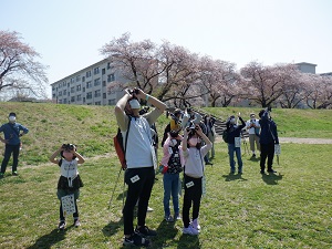 鳥に夢中