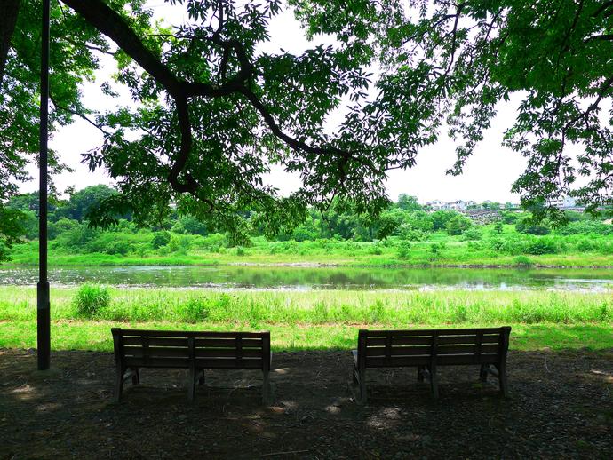 多摩川を眺めるのに絶好のベンチ