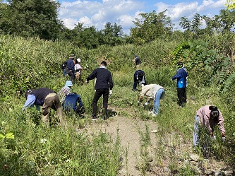 7月に続き大きく繁茂した植物を除去する画像